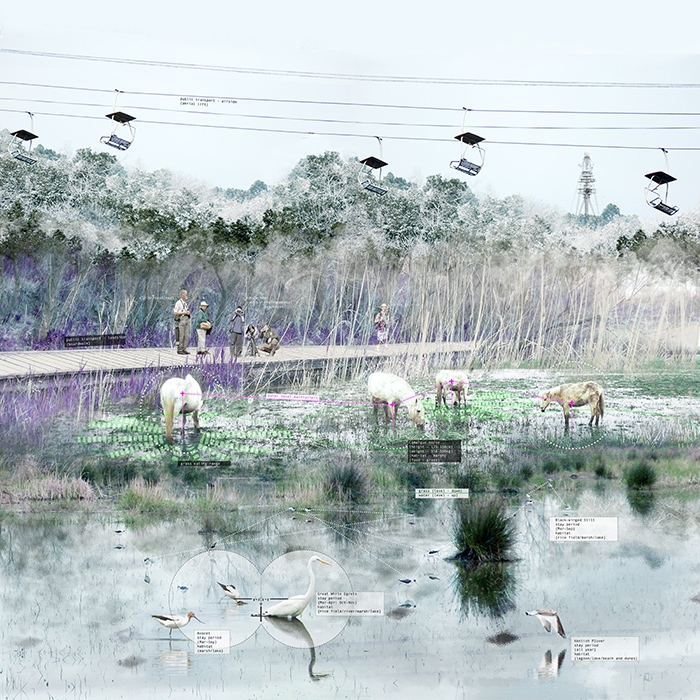 http://yufeili.com/files/gimgs/th-6_wing_2wetland.jpg